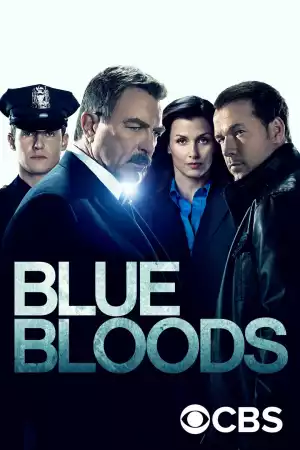 Blue Bloods S10E08 - Friends in High Places